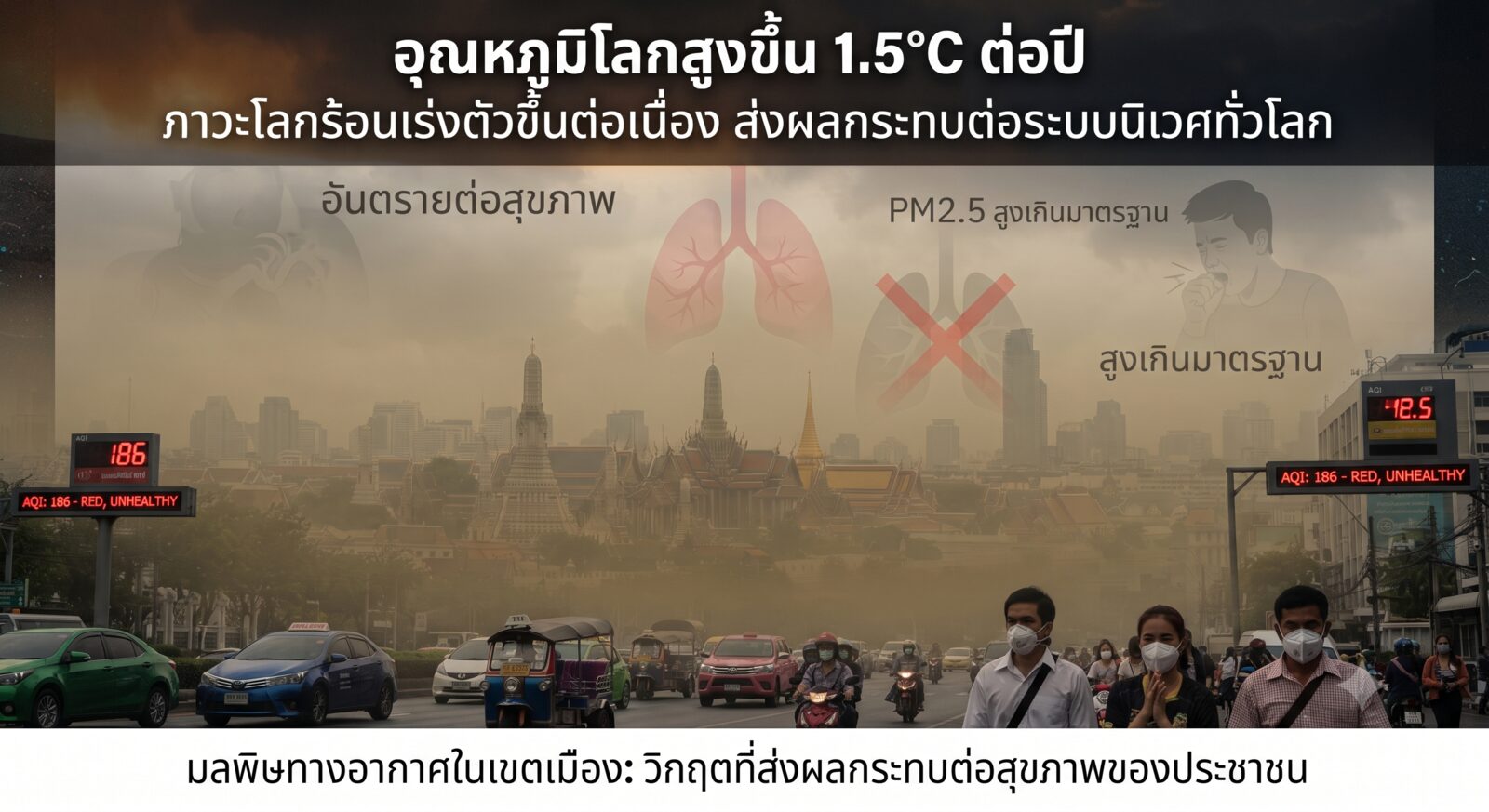 มลพิษทางอากาศในเมืองใหญ่